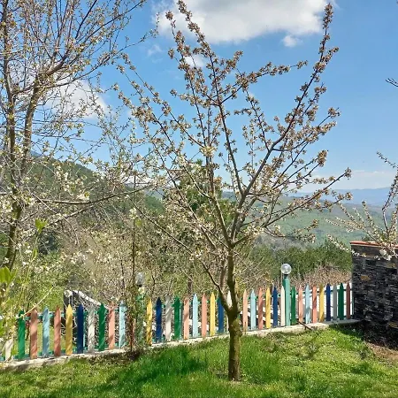 Nature View With Garden In Osmangazi Daire