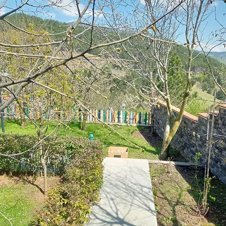 Daire Nature View With Garden In Osmangazi *